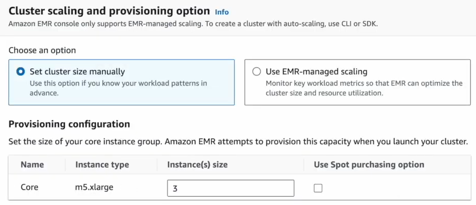 Configuring Instance size based on Spark workloads - Apache Spark - AWS EMR - Spark on EMR - EMR with Spark - EMR Spark - EMR Spark Tutorial - AWS - ETL - Real-Time Streaming - Elastic MapReduce - AWS Elastic MapReduce - Apache Hadoop - EMR Architecture - AWS EMR Architecture - Apache Spark Architecture - Big Data Framework - EMRFS - EMR File System - HDFS - Hadoop HDFS - AWS IAM - AWS EC2 - Elastic Compute Cloud - AWS Spot Instances - AWS EKS - Elastic Kubernetes Service - AWS VPCs