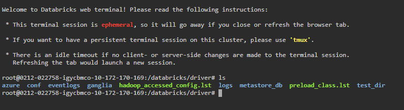 Launching Databricks Web Terminal in Databricks - Bash Script - Run Bash Script - Run Bash - Run Bash in Databricks - Bash in Databricks - Databricks Bash - Databricks Bash Commands - Bash File - Run Bash File - Databricks Magic Command - Databricks Notebook Magic Commands - Databricks Shell - Databricks %sh - Databricks sh Command - Databricks run shell command - Databricks Notebook Run Shell Command - Shell Script - run shell script - run sh file - dbutils - Databricks dbutils - dbutils in Databricks - Databricks init script - init scripts - dbfs - dbfs Databricks - Databricks dbfs - Databricks FileStore - Databricks Notebook - Databricks Compute